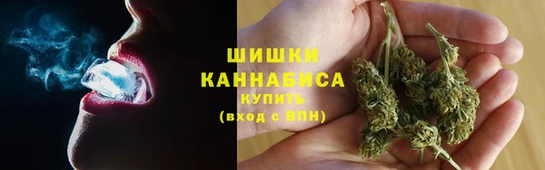 первитин Осинники