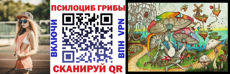 цены наркотик  Новочеркасск  Галлюциногенные грибы Psilocybe 