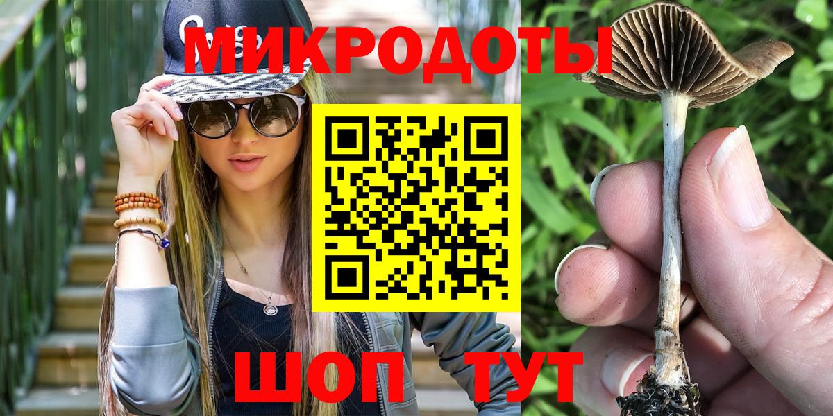 Псилоцибиновые грибы мицелий  Вход с VPN  Новочеркасск 