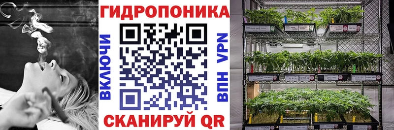 Бошки Шишки VHQ  Новочеркасск 